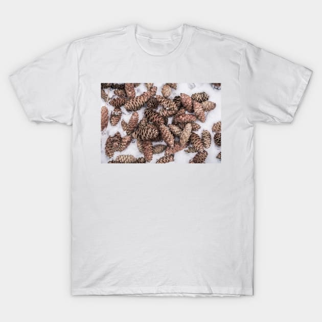 Spruce Cones on Fresh Snow - Color Version T-Shirt by Amy-K-Mitchell